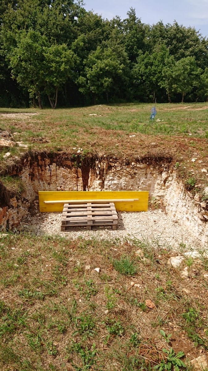 Terreno Svetvinčenat, 8.900m2