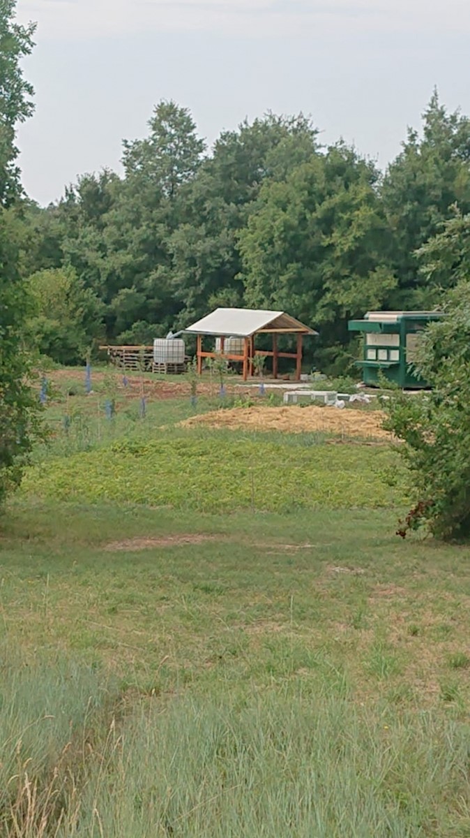 Terreno Svetvinčenat, 8.900m2