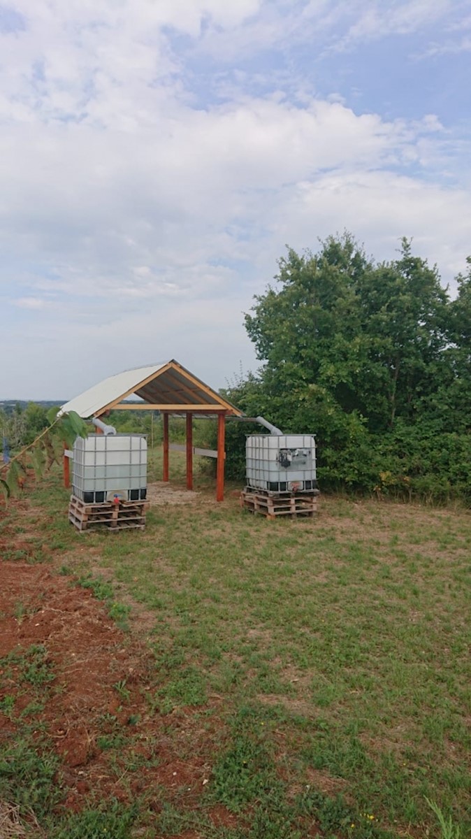 Terreno Svetvinčenat, 8.900m2