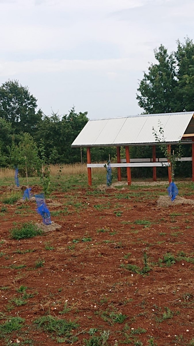 Terreno Svetvinčenat, 8.900m2