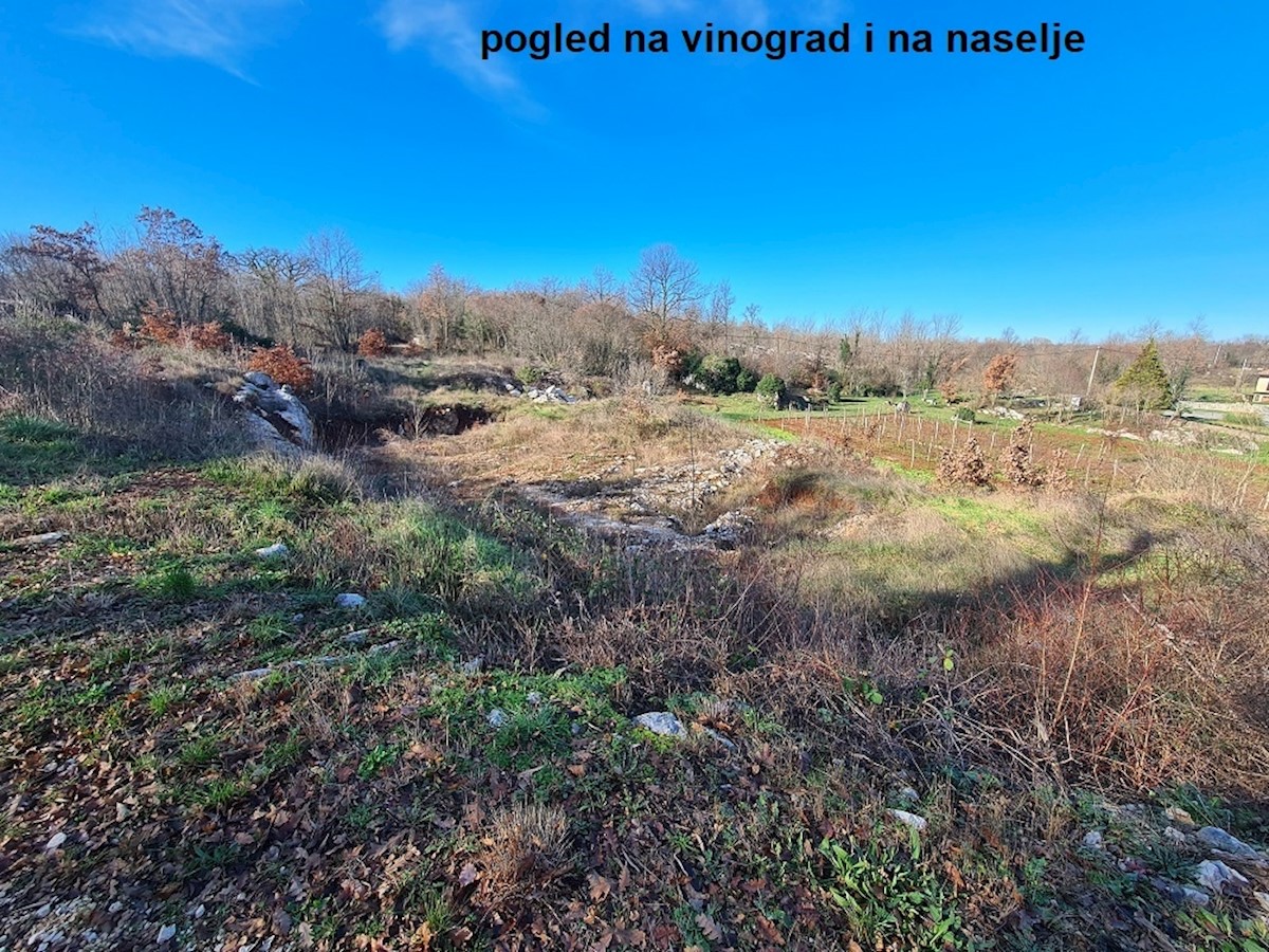 Terreno Nedešćina, Sveta Nedelja, 3.500m2