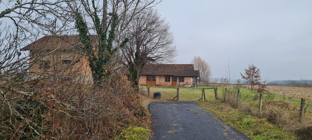 Occasione - grande terreno edificabile con fabbricati