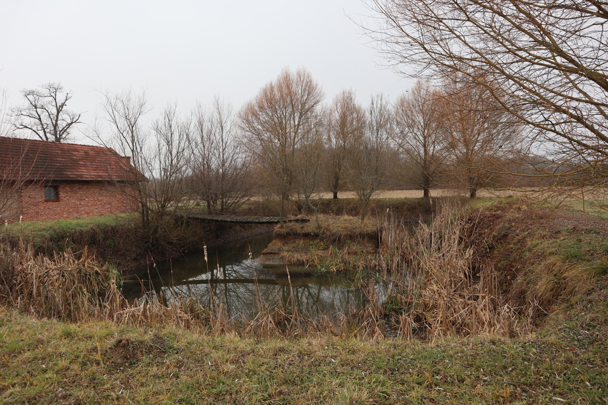 Occasione - grande terreno edificabile con fabbricati