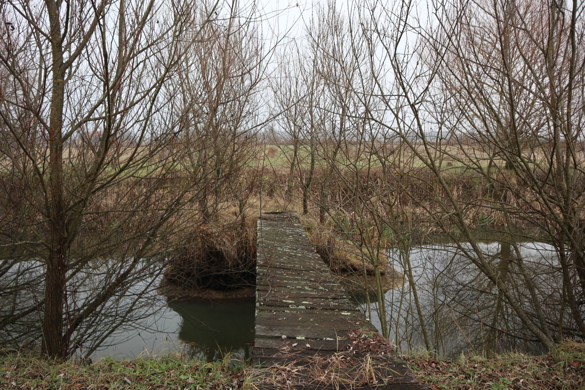 Occasione - grande terreno edificabile con fabbricati