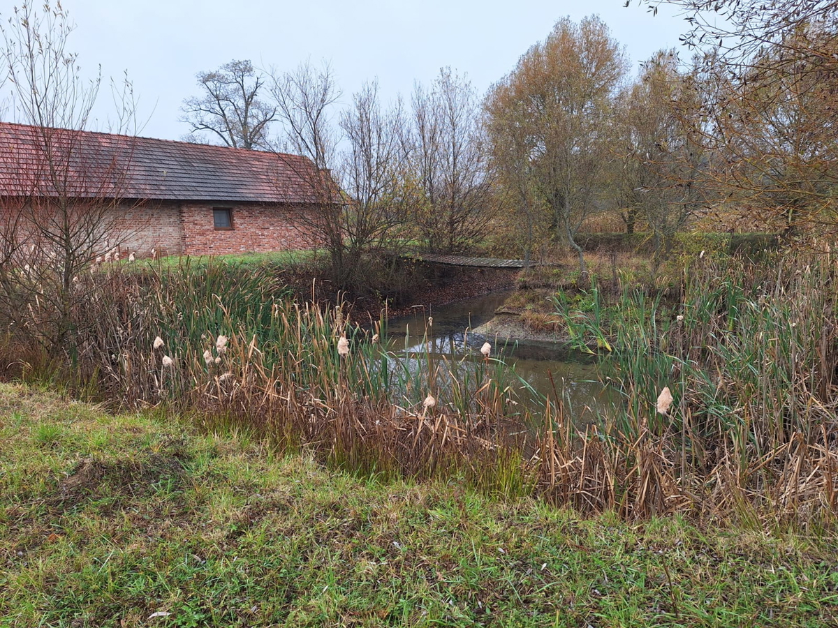 Occasione - grande terreno edificabile con fabbricati