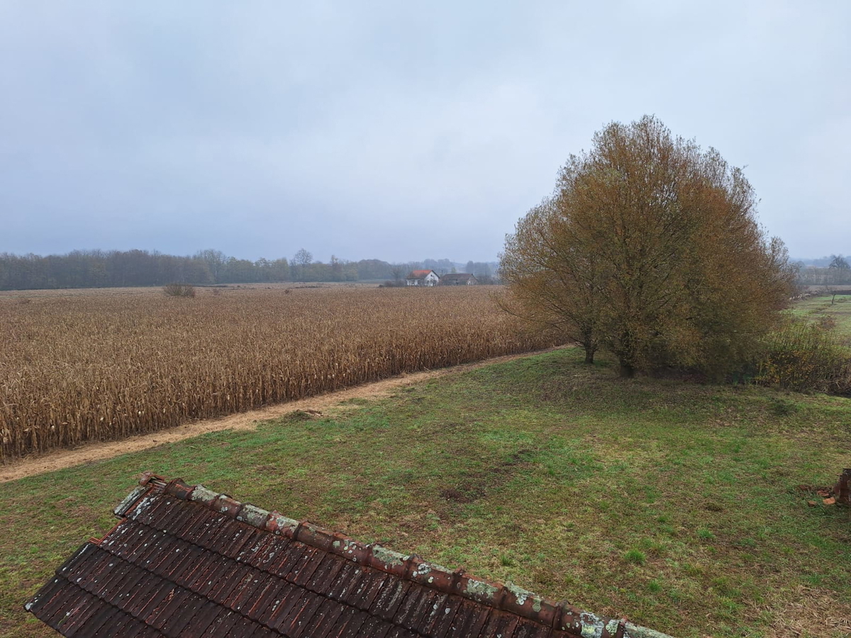 Occasione - grande terreno edificabile con fabbricati