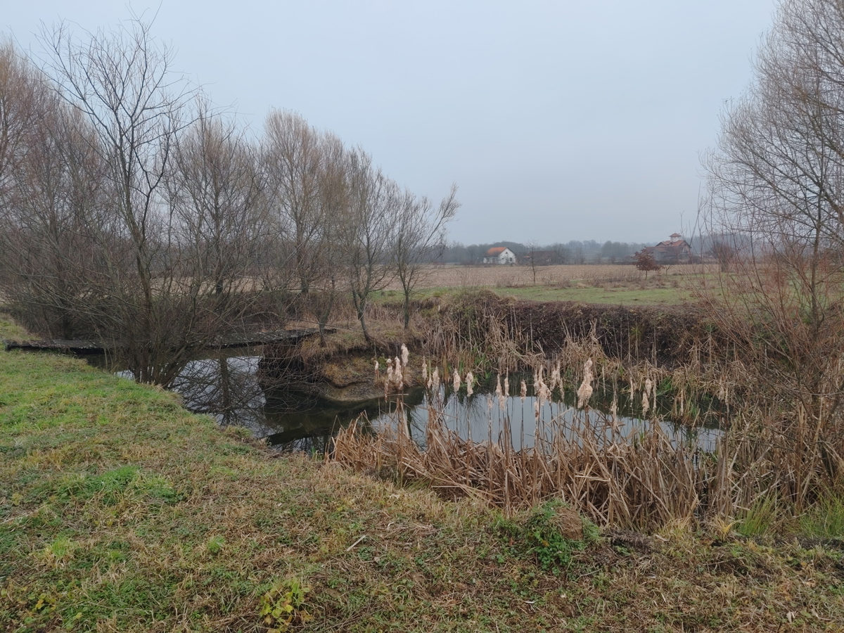 Occasione - grande terreno edificabile con fabbricati