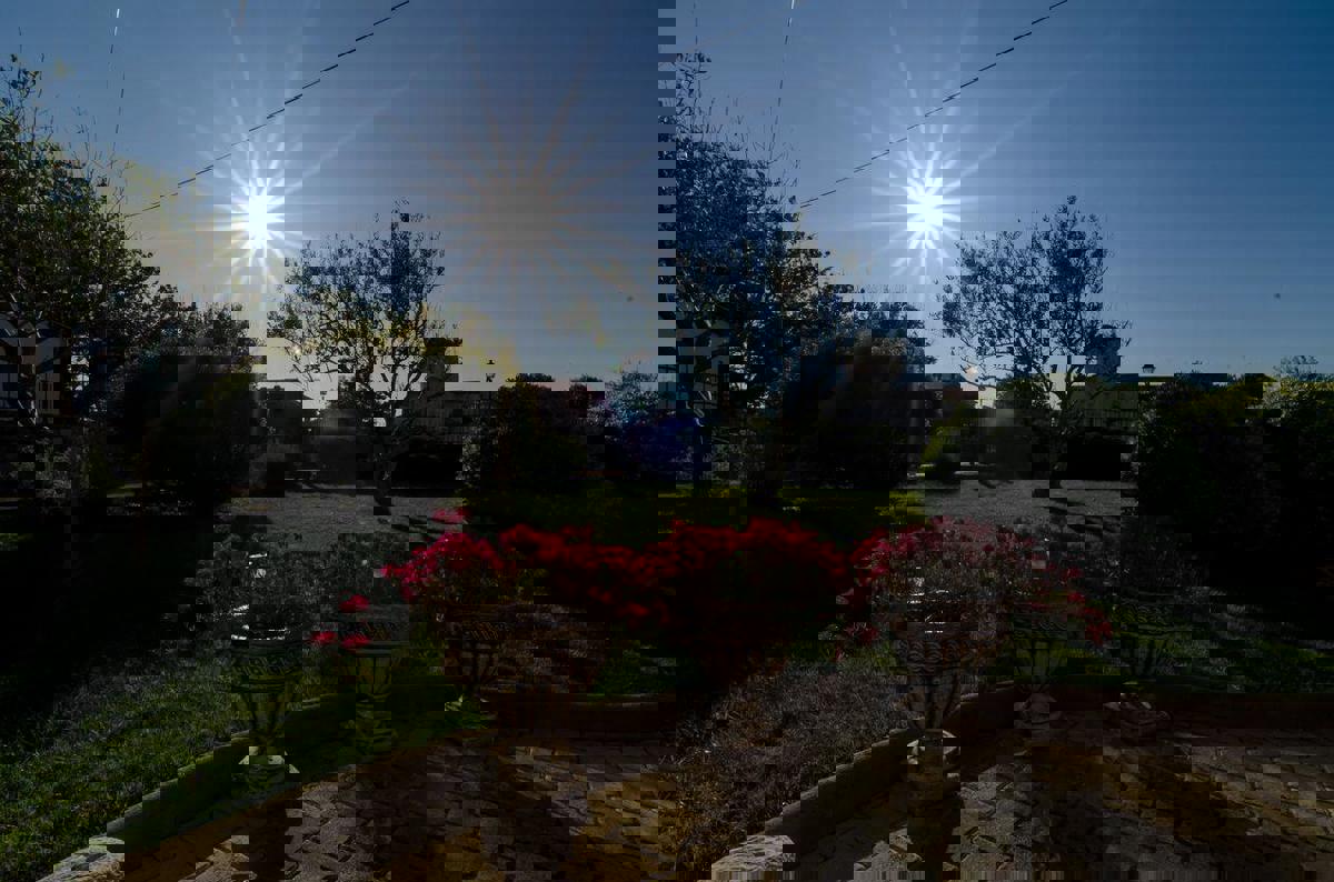 Nin centro - casa su un grande terreno