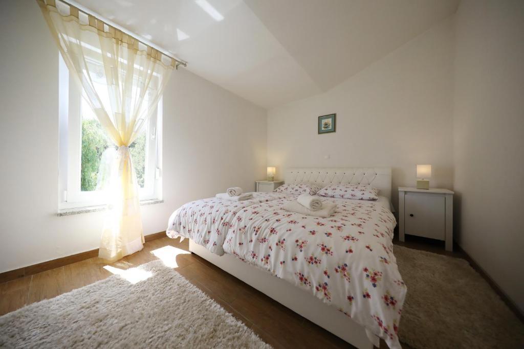 Due case moderne plurifamiliari con piscina e sauna a Zara