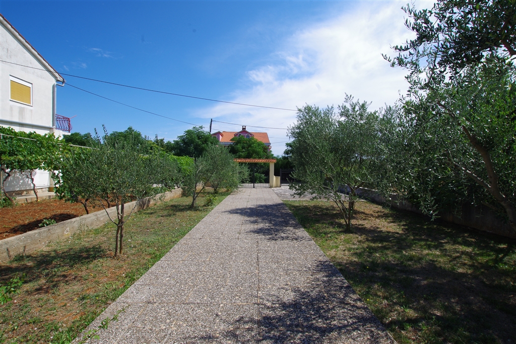 Ampia casa circondata da ulivi