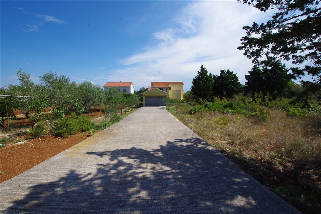 Ampia casa circondata da ulivi