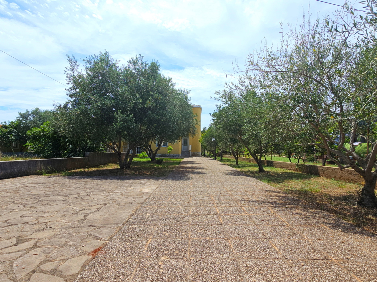 Ampia casa circondata da ulivi