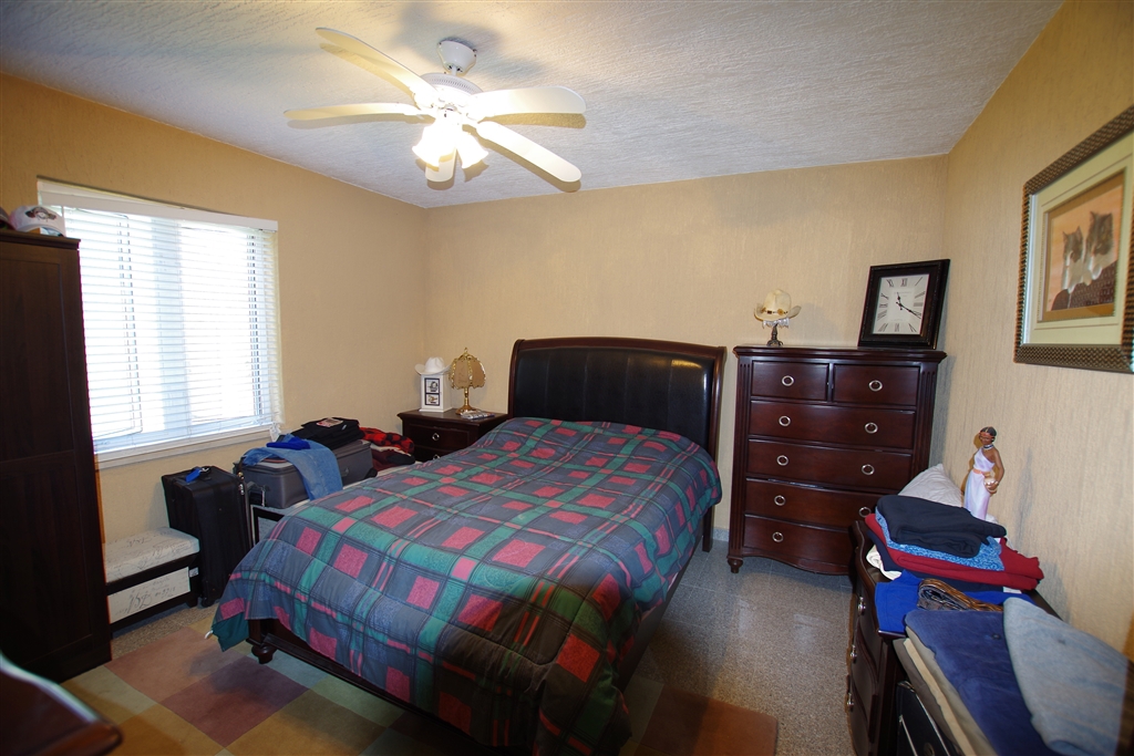 Ampia casa circondata da ulivi