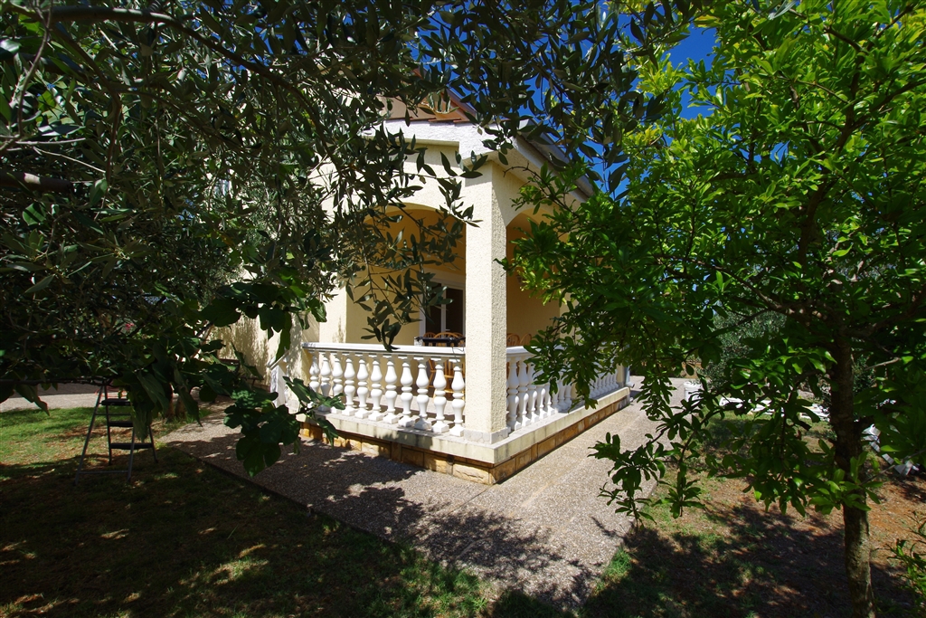 Ampia casa circondata da ulivi