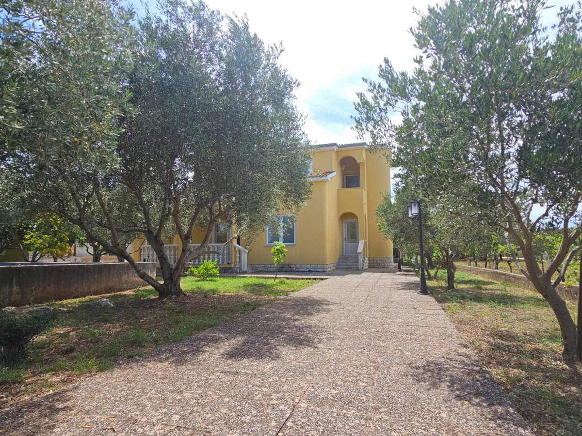 Ampia casa circondata da ulivi