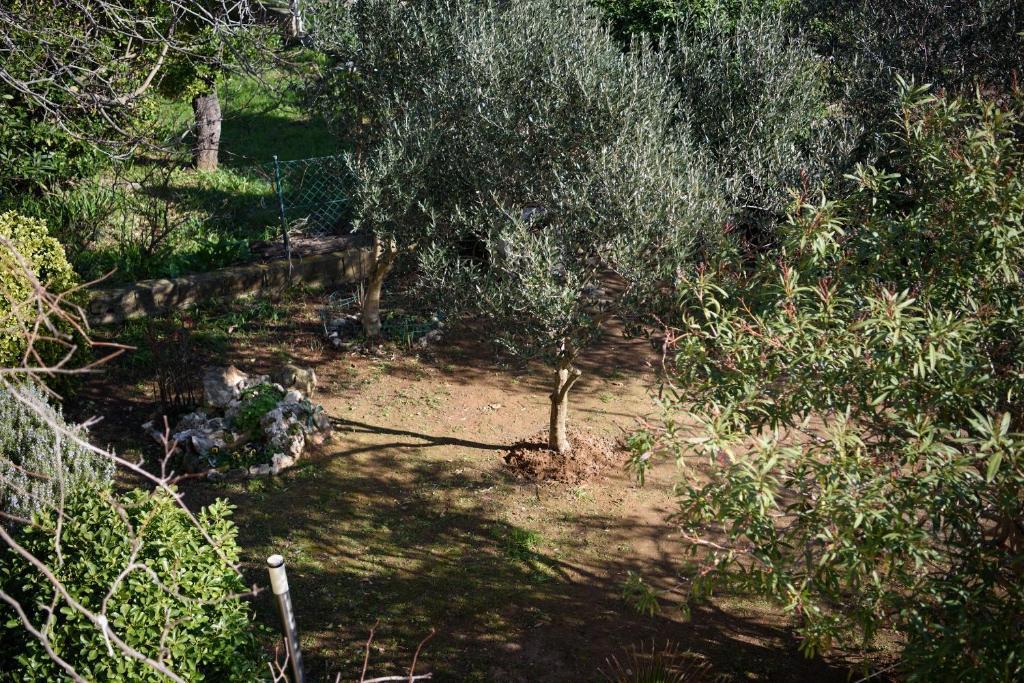 Casa Premantura, Medulin, 220m2