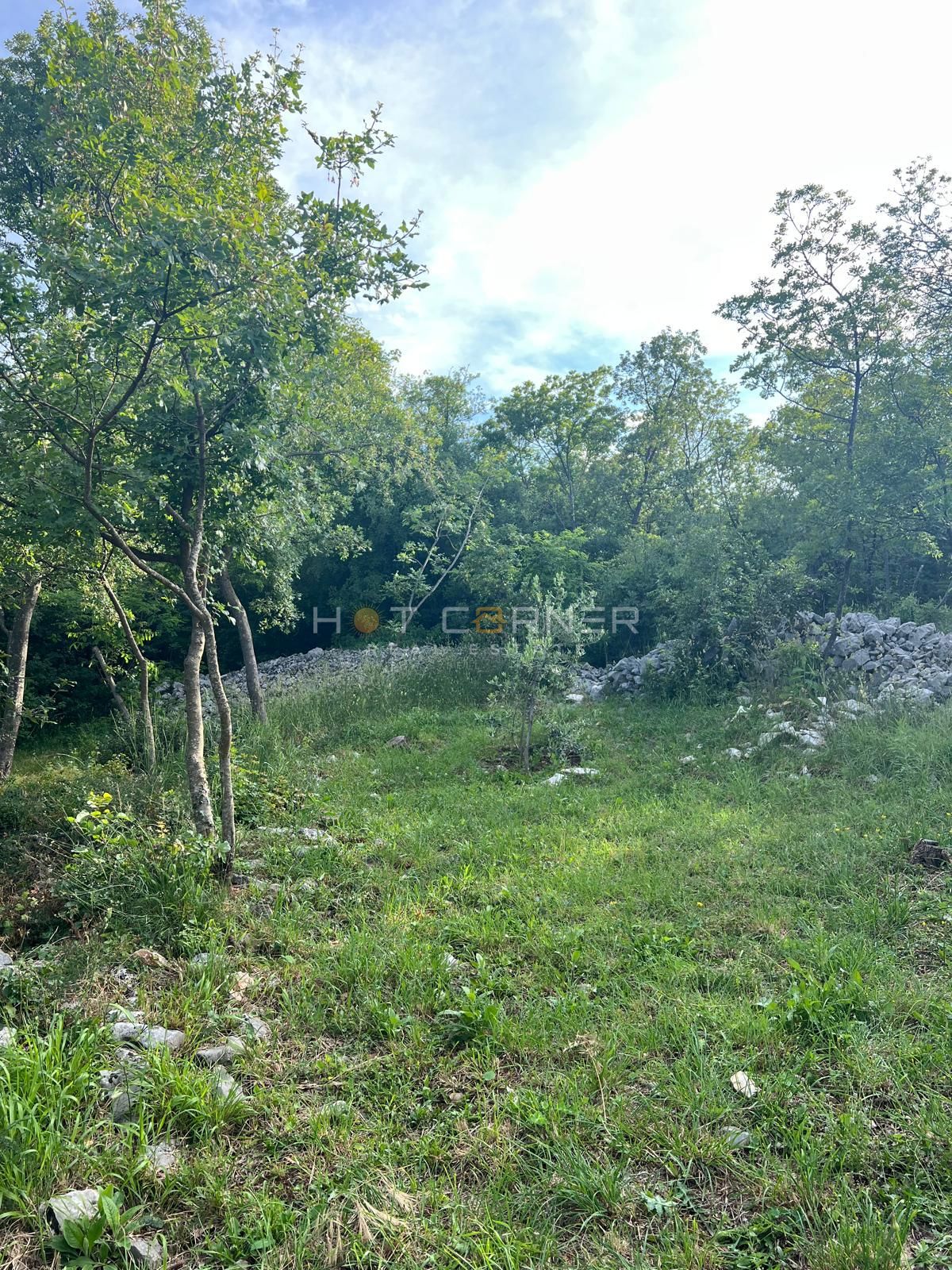 Casa da sogno, Albona, VISTA SU TUTTO IL QUARNARO