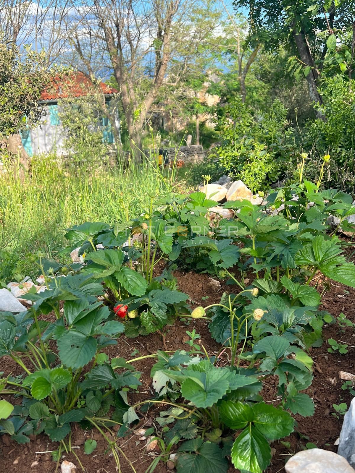 Casa da sogno, Albona, VISTA SU TUTTO IL QUARNARO