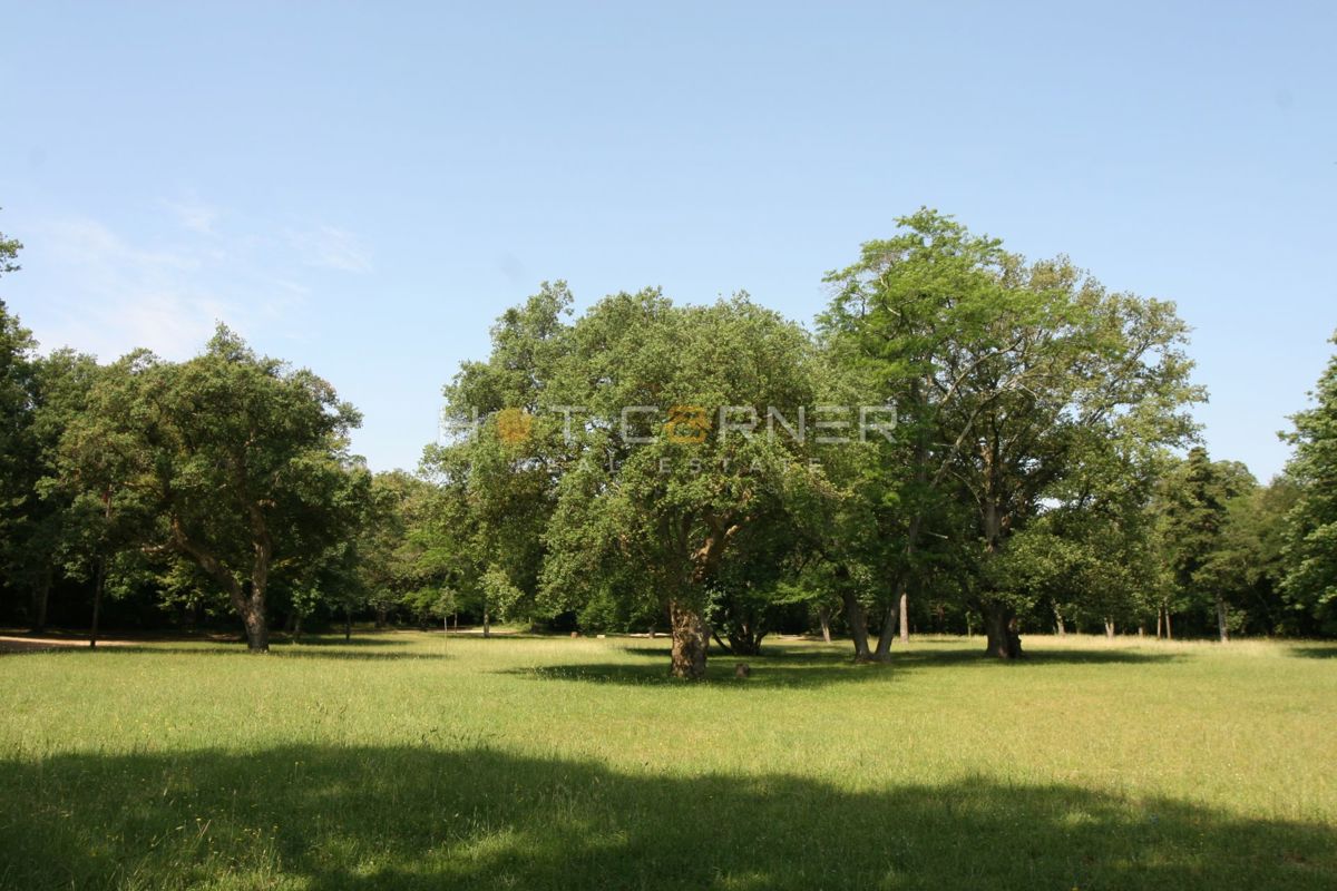 Pola, vicino alla foresta di Šijana, appartamento al piano terra 2 camere + 97 m² di giardino