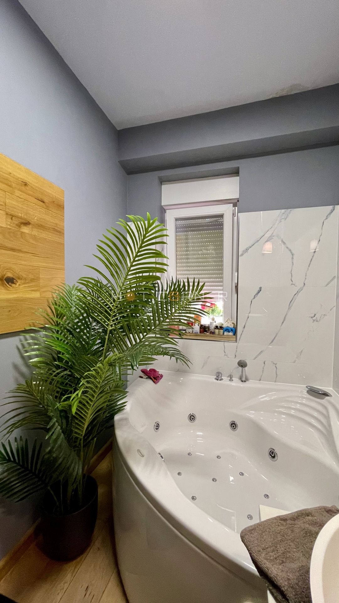 Appartamento vibrante ristrutturato nel cuore verde di Pola