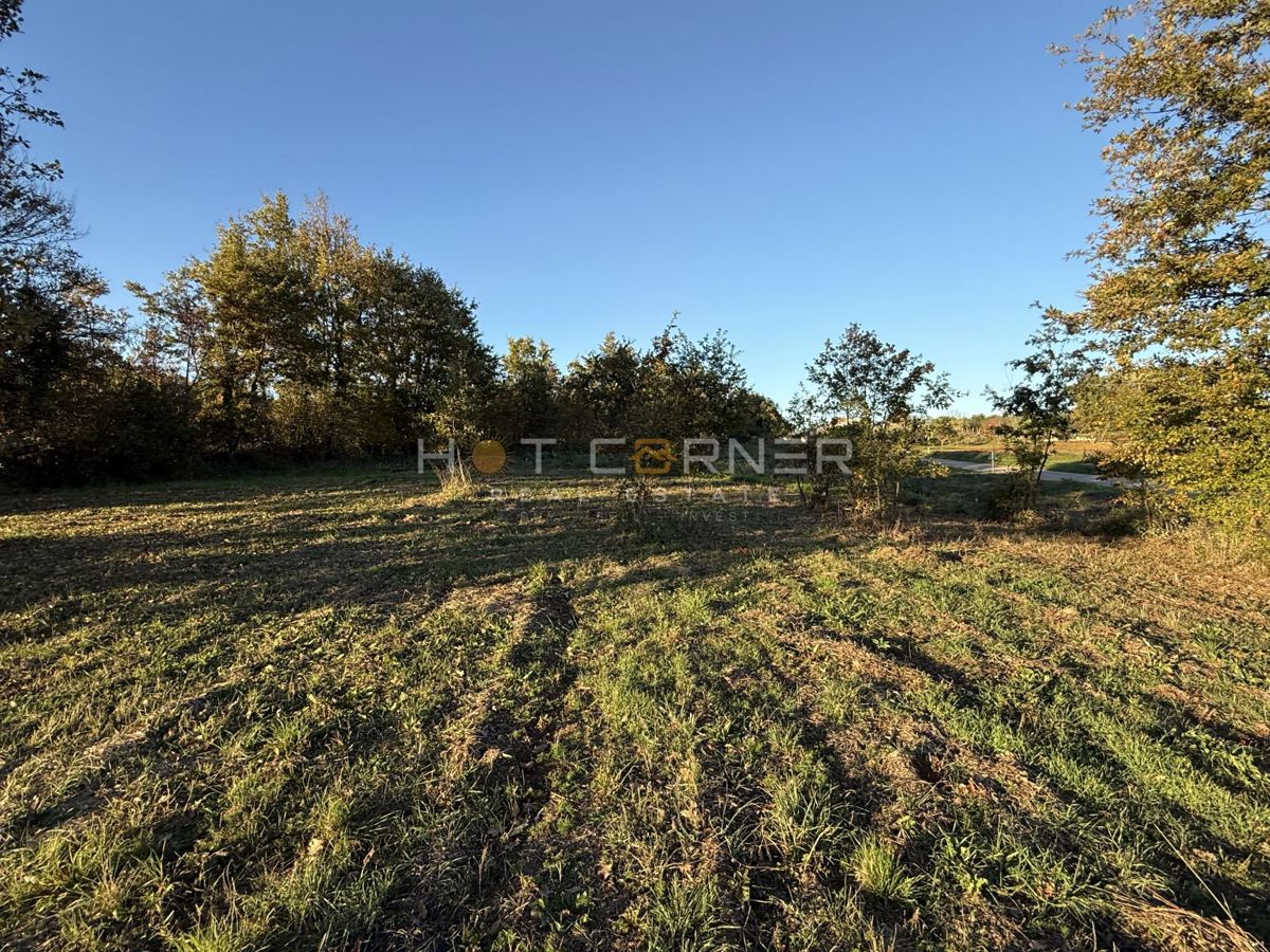 Barban, 4 terreni edificabili per la costruzione di 4 case vacanza, vista mare