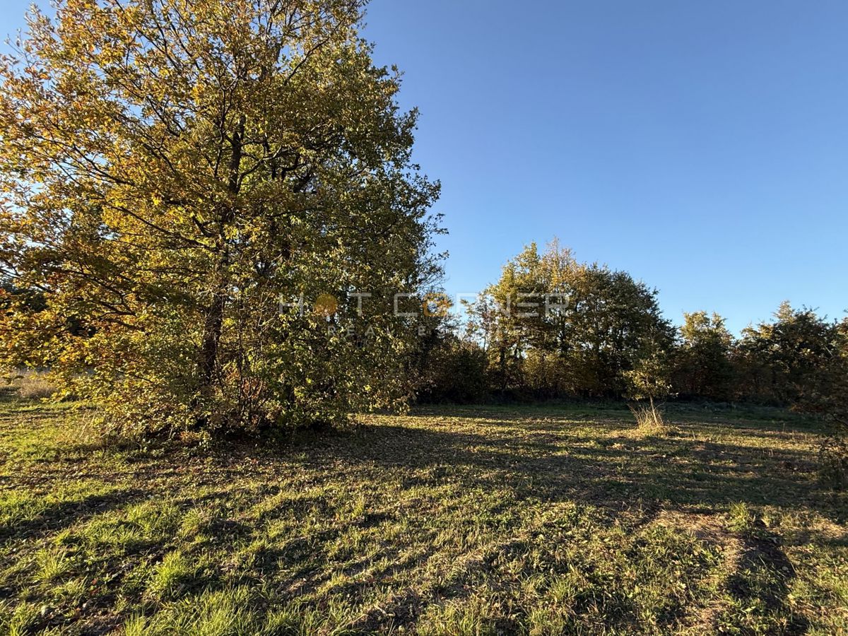 Barban, 4 terreni edificabili per la costruzione di 4 case vacanza, vista mare