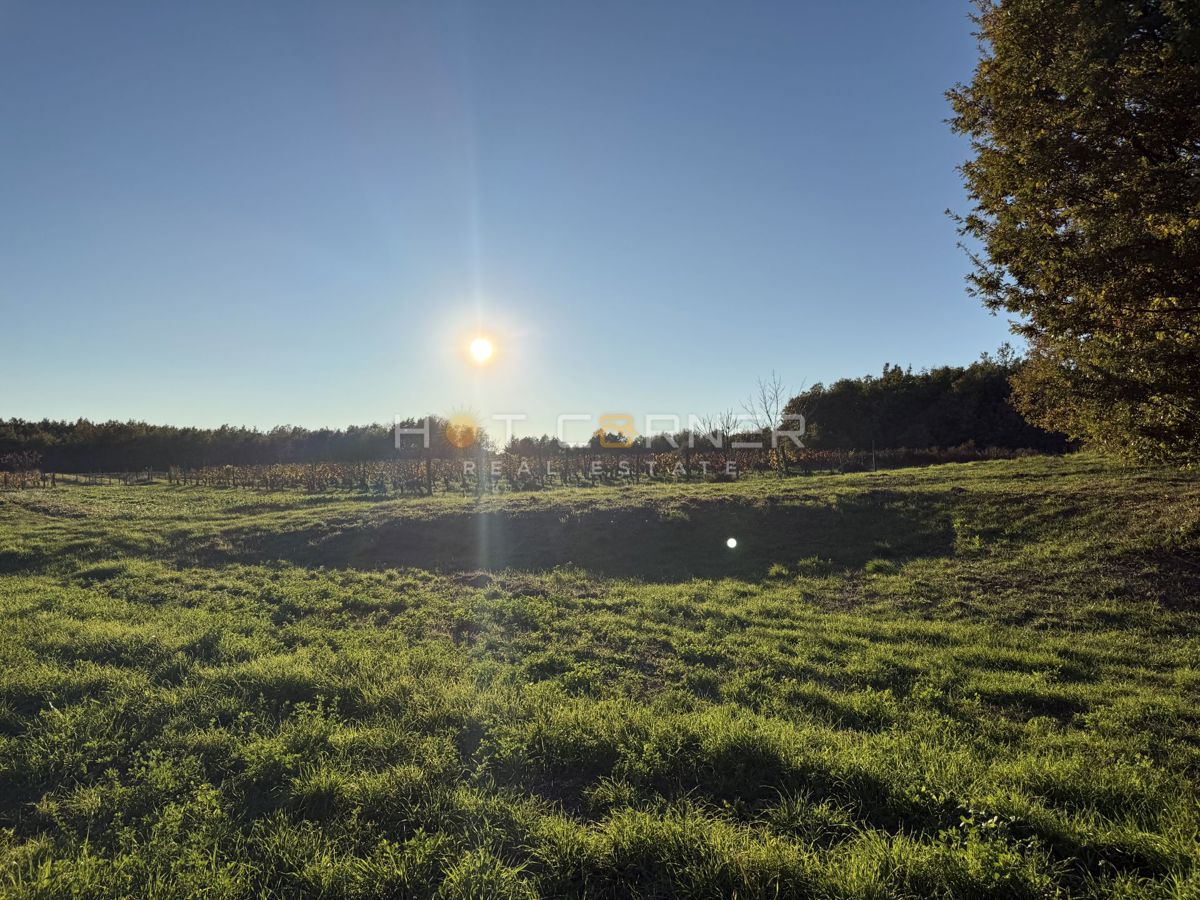Barban, 4 terreni edificabili per la costruzione di 4 case vacanza, vista mare