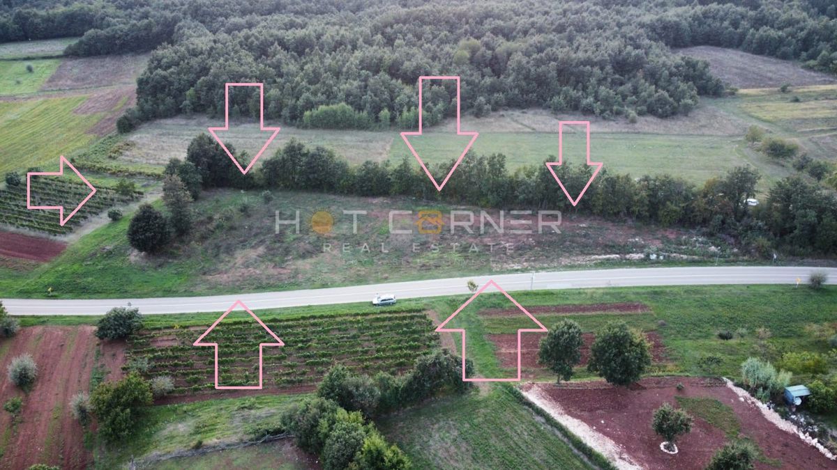 Barban, 4 terreni edificabili per la costruzione di 4 case vacanza, vista mare