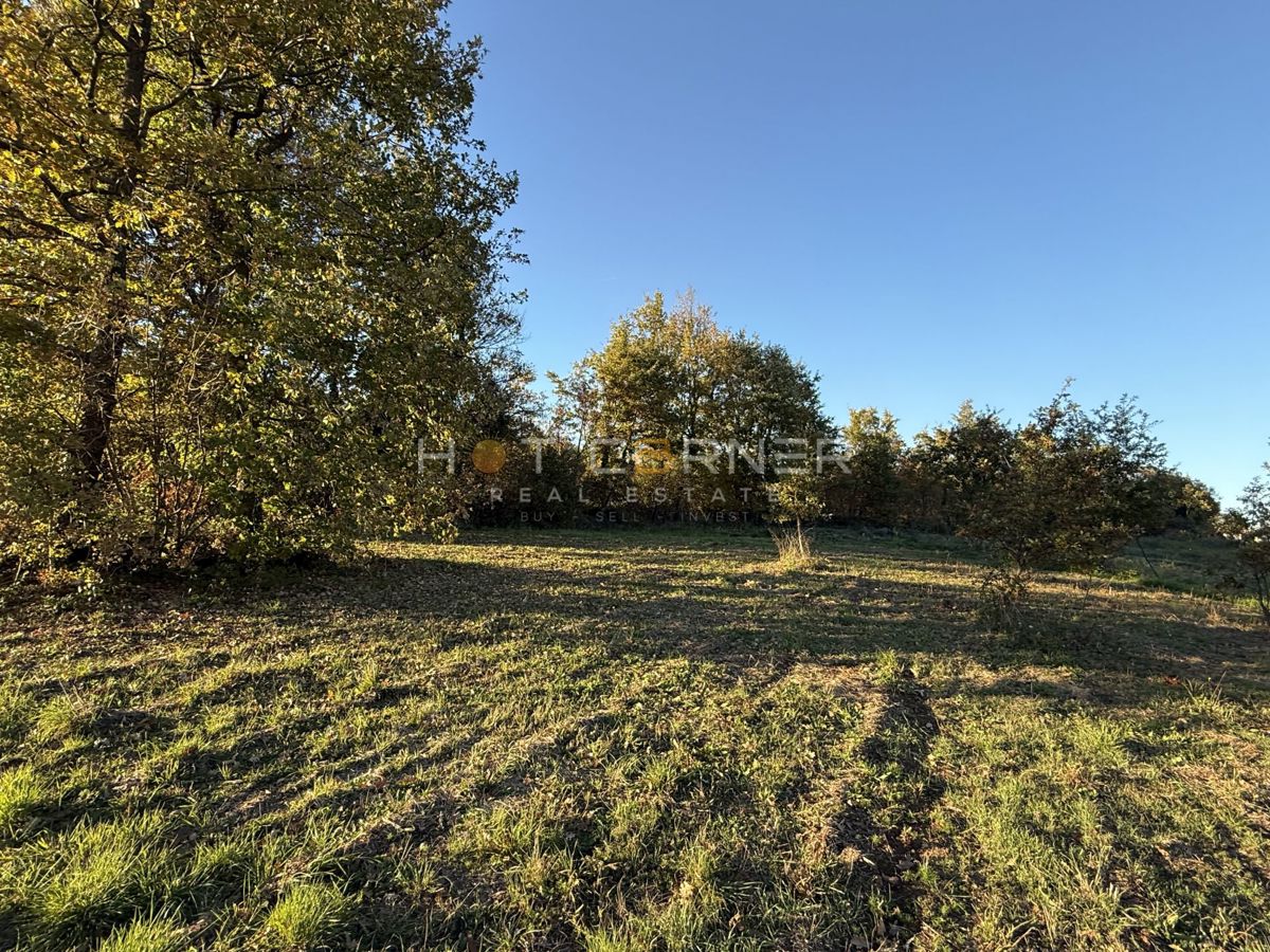 Barban, 4 terreni edificabili per la costruzione di 4 case vacanza, vista mare