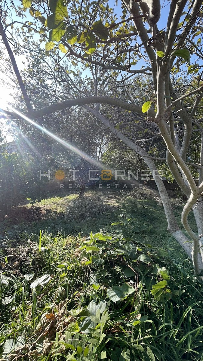 Un bellissimo appartamento con giardino vicino alla città