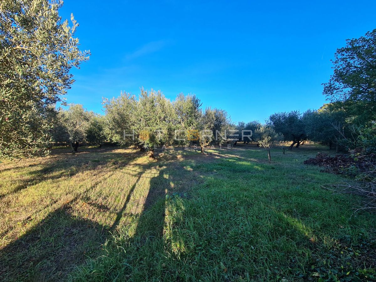Terreno Medulin, 2.800m2