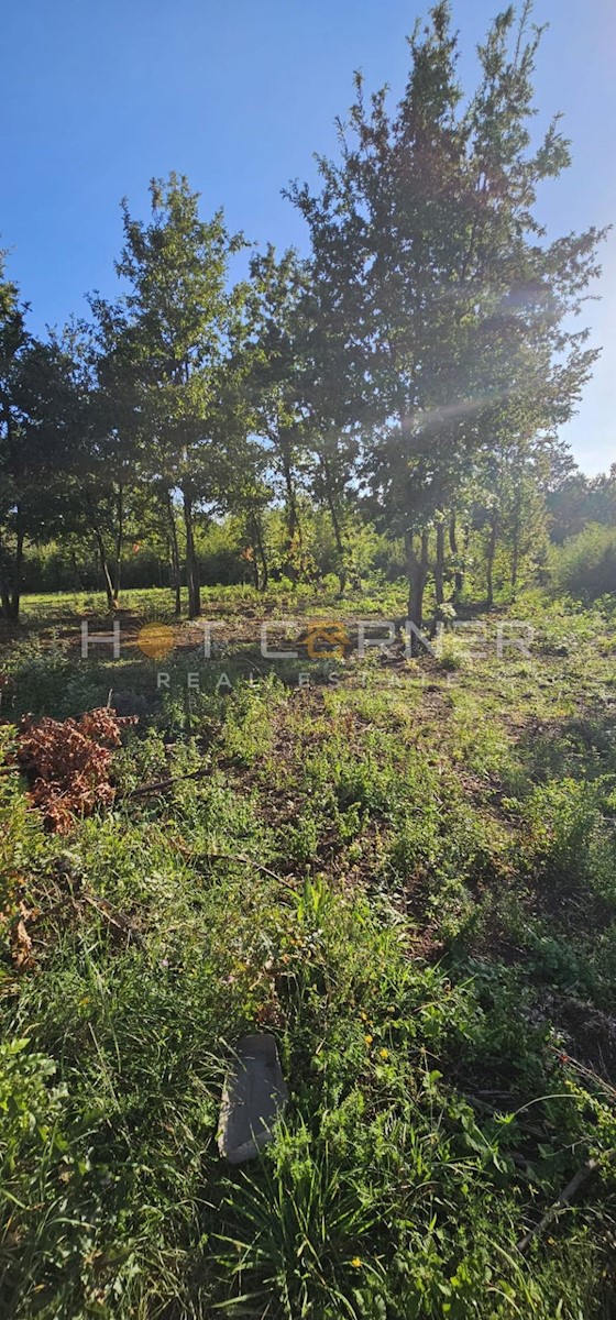  Barban, Piccola Casa in un Ambiente Idilliaco, a 8 km dalle Spiagge