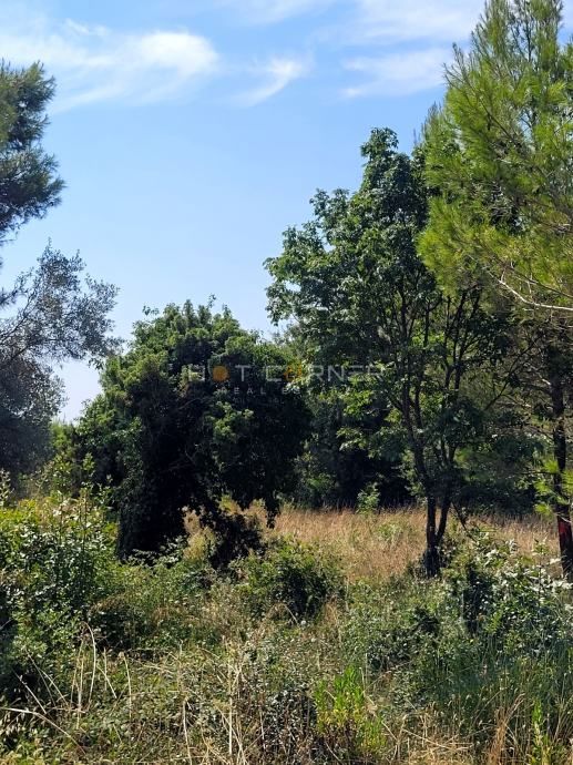Medulin, terreno edificabile circondato dal verde, vista mare, 1,5 km dalla spiaggia