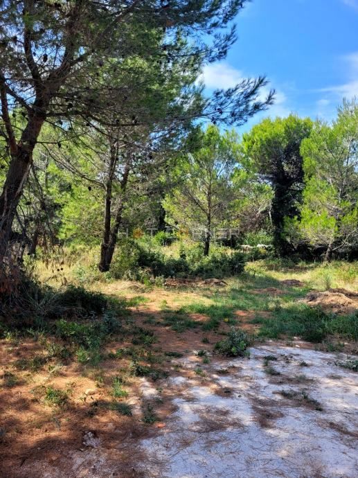 Medulin, terreno edificabile circondato dal verde, vista mare, 1,5 km dalla spiaggia