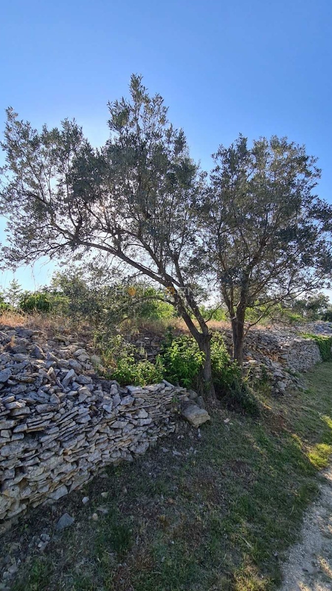 Terreno Fažana, 1.500m2