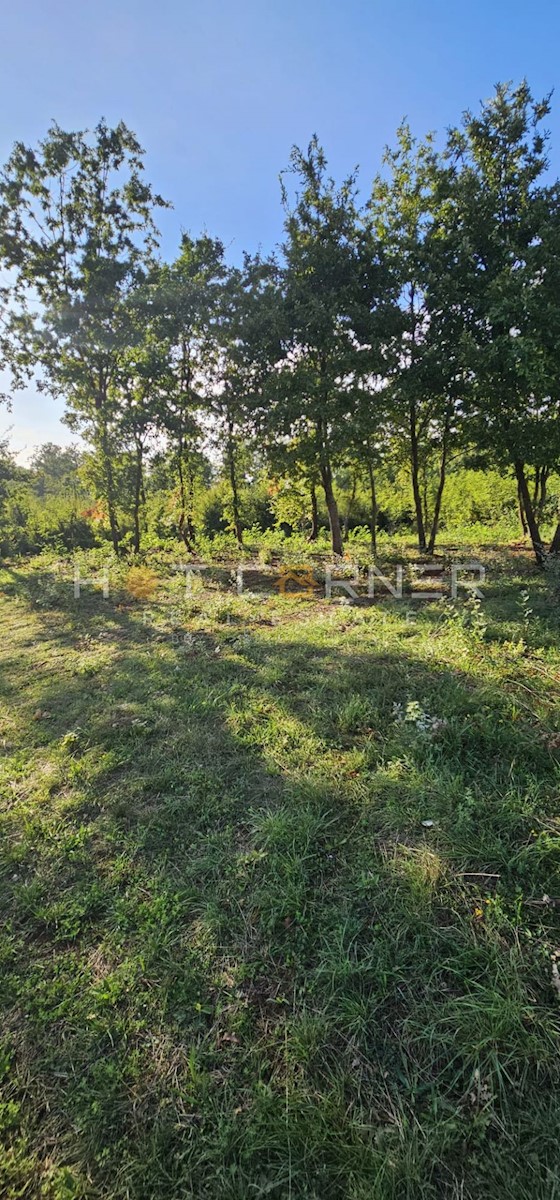 Barban, Piccola Casa con Piscina in un Ambiente Incantevole, a 8 km dalle Spiagge