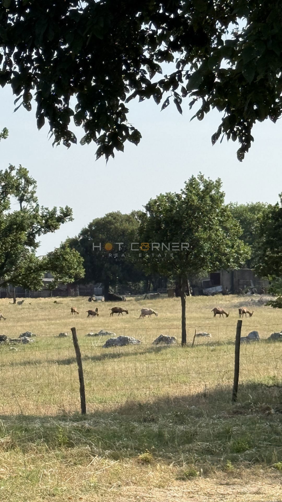 Casa in pietra istriana con terreno edificabile 