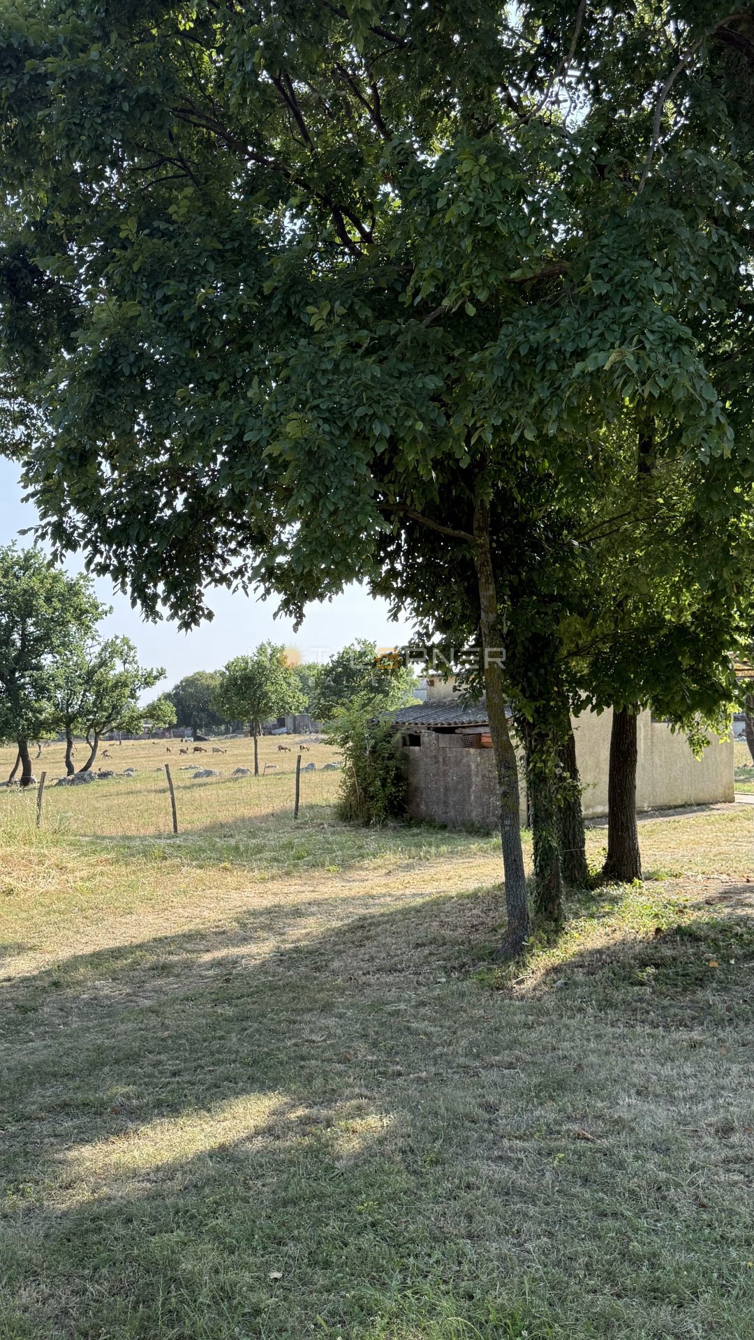 Casa in pietra istriana con terreno edificabile 