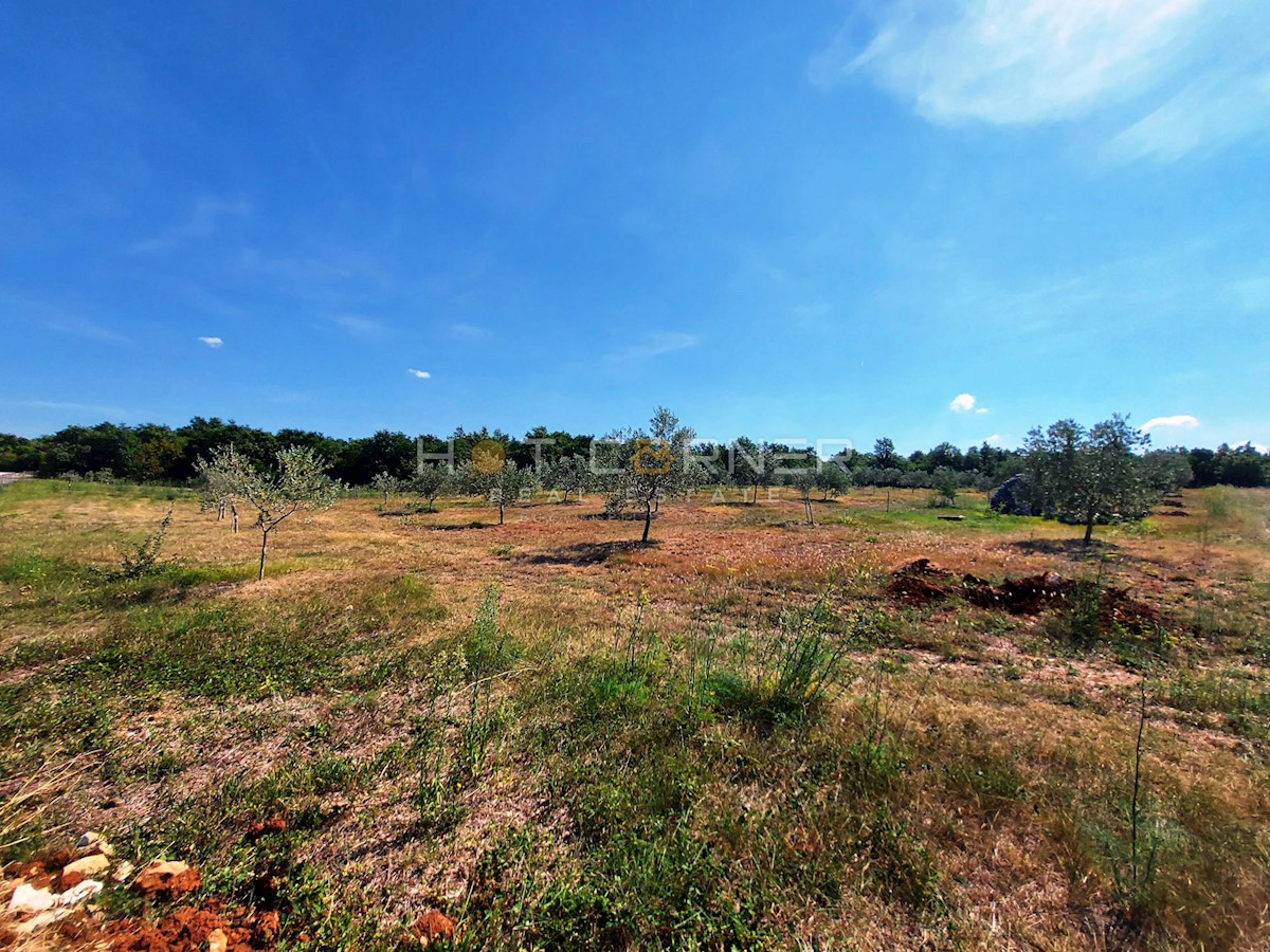 Terreno Vodnjan, 9.900m2