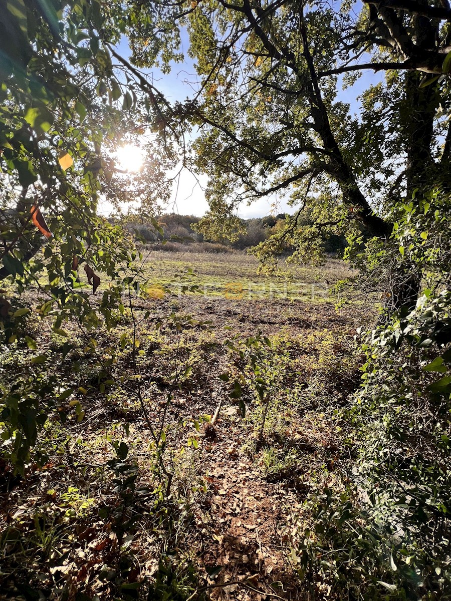 Terreno Pješčana Uvala, Medulin, 1.004m2