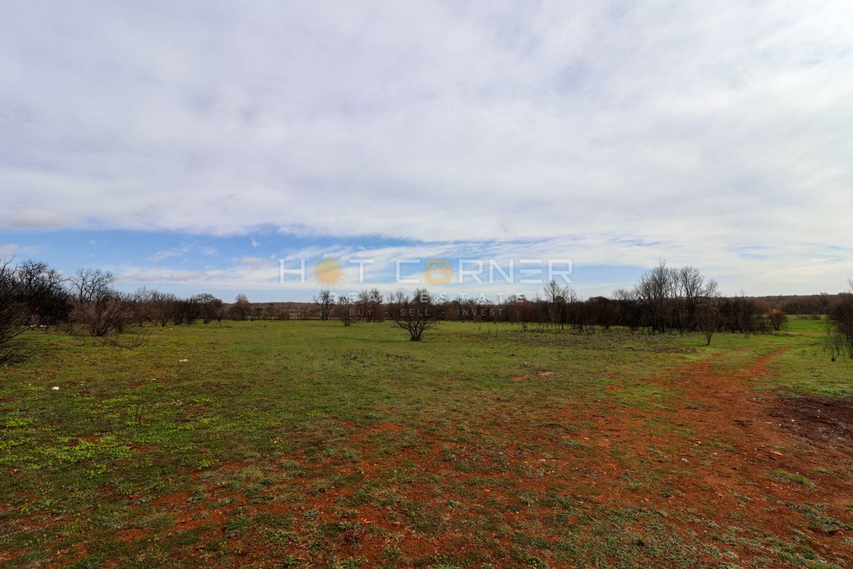 Terreno Valtura, Ližnjan, 11.000m2