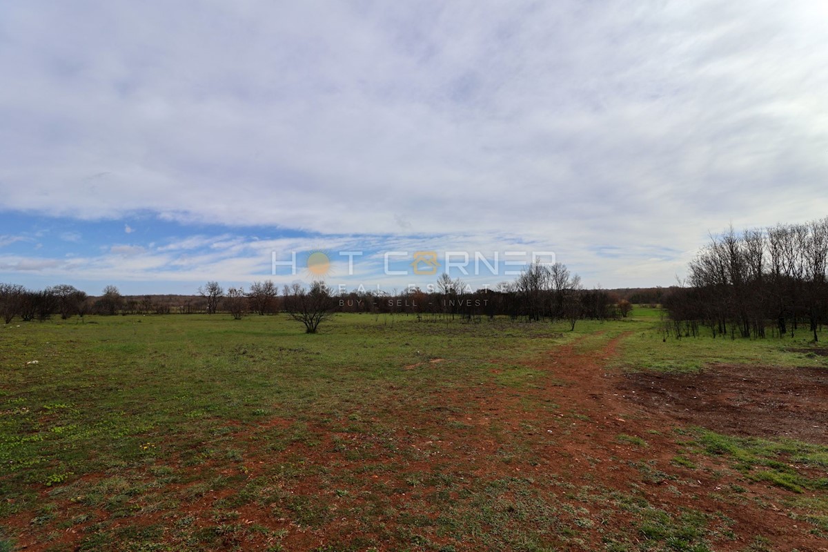 Terreno Valtura, Ližnjan, 11.000m2