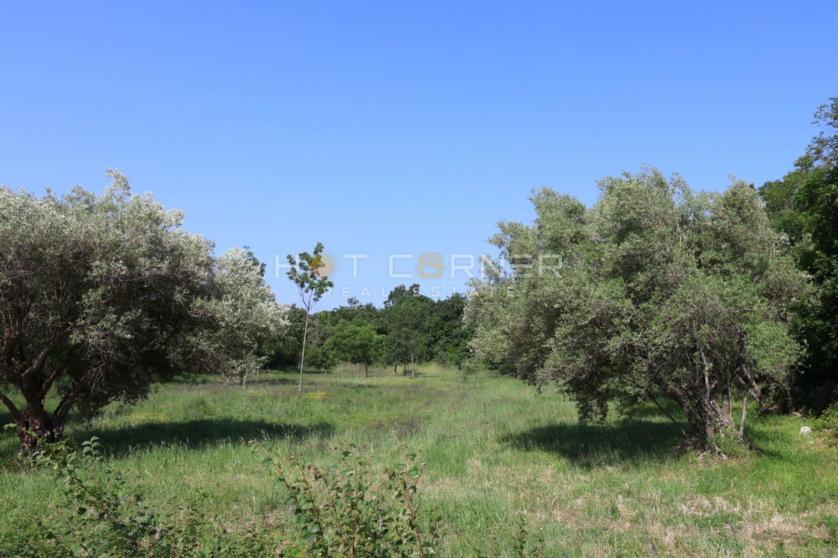 Terreno Duga Uvala, Marčana, 1.200m2
