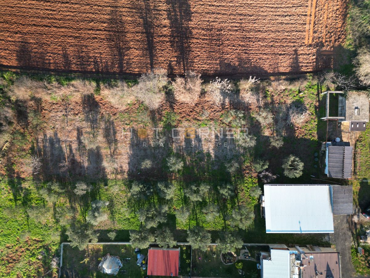 Casetta con Frutteto & Ulivi – Solo €150k a Banjole!