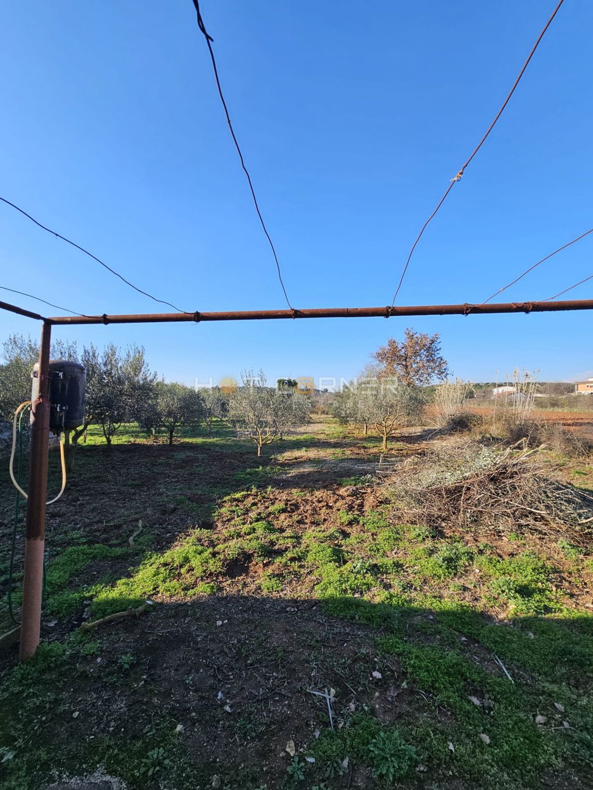 Casetta con Frutteto & Ulivi – Solo €150k a Banjole!