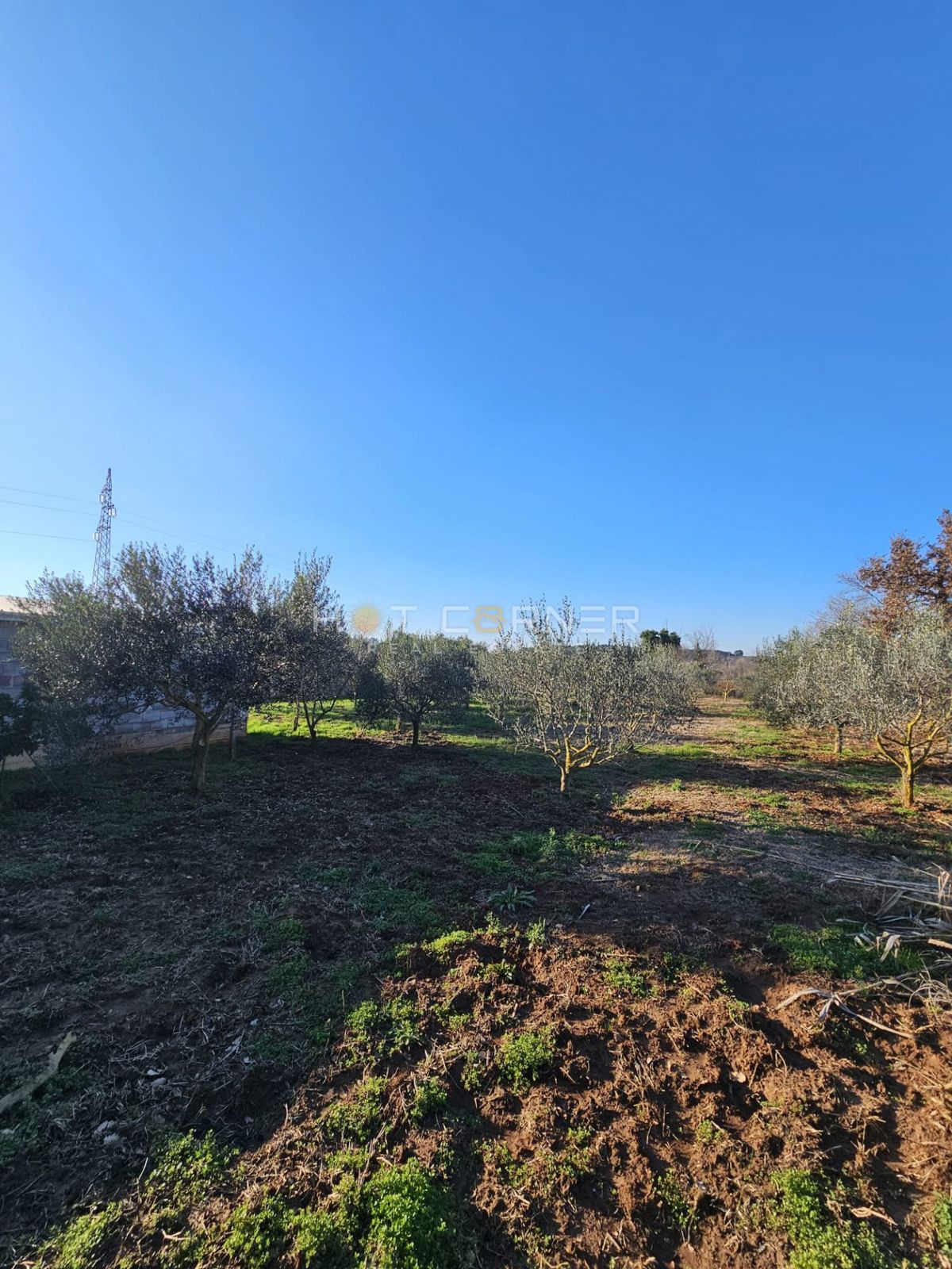 Casetta con Frutteto & Ulivi – Solo €150k a Banjole!