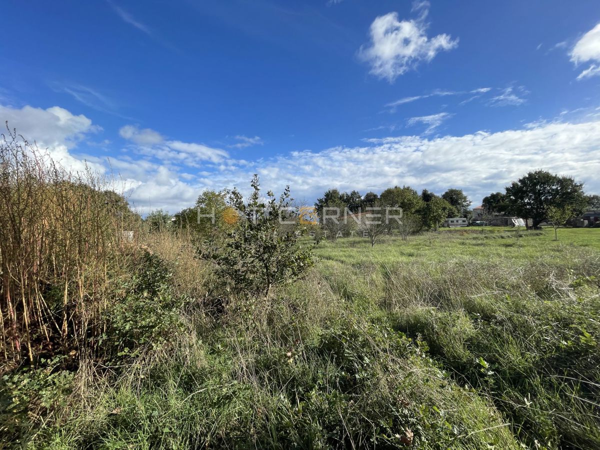 Terreno agricolo Šišan, Ližnjan, 1.500m2