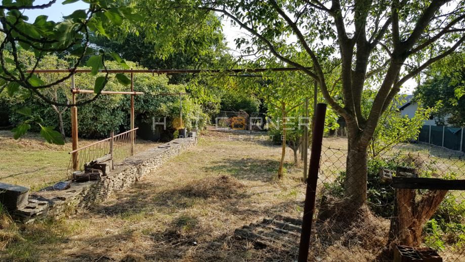 Vintijan, Pješčana Uvala, bellissimo terreno agricolo curato, a 2 km dal mare