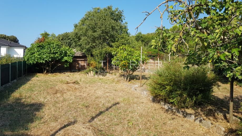 Vintijan, Pješčana Uvala, bellissimo terreno agricolo curato, a 2 km dal mare