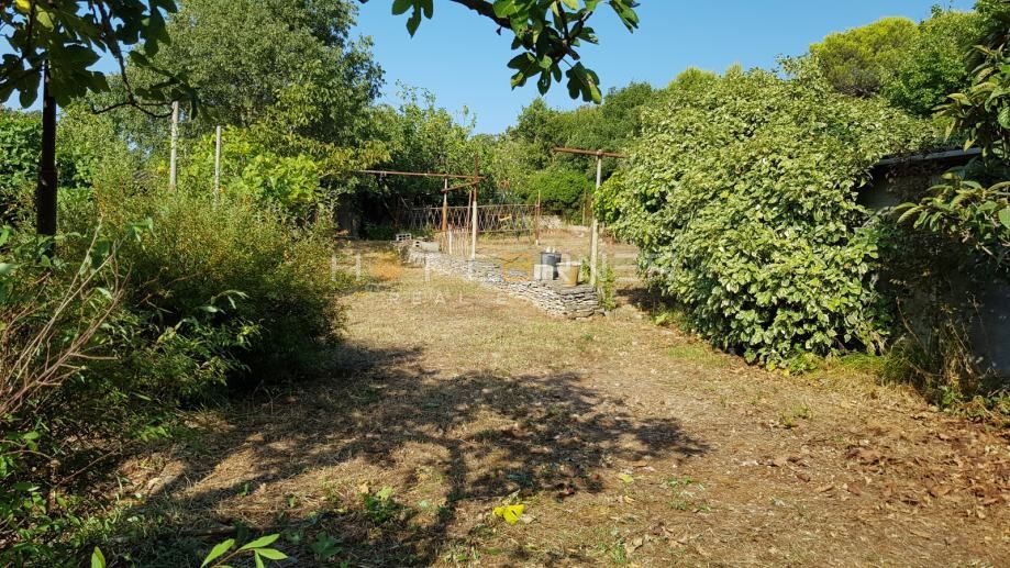 Vintijan, Pješčana Uvala, bellissimo terreno agricolo curato, a 2 km dal mare